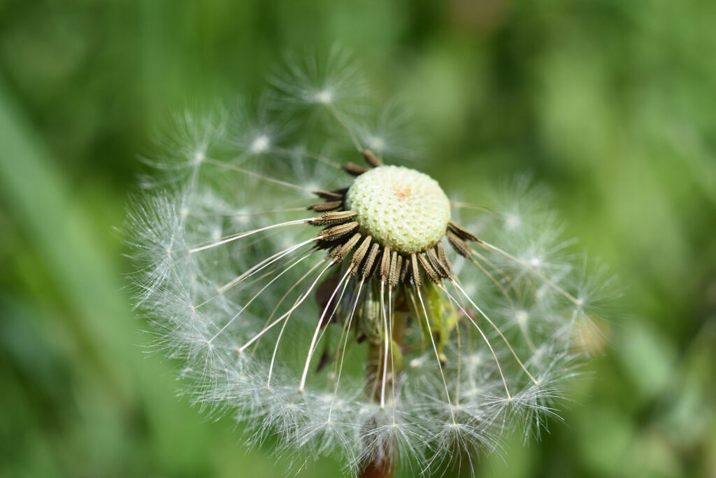 Erholen und Regenieren: Antagonisten Training - Andrea Frey Blog